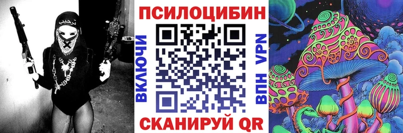 Псилоцибиновые грибы Psilocybe  Купить  Кизел 
